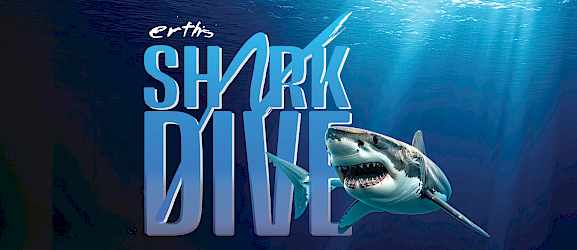 Erth's Shark Dive Image