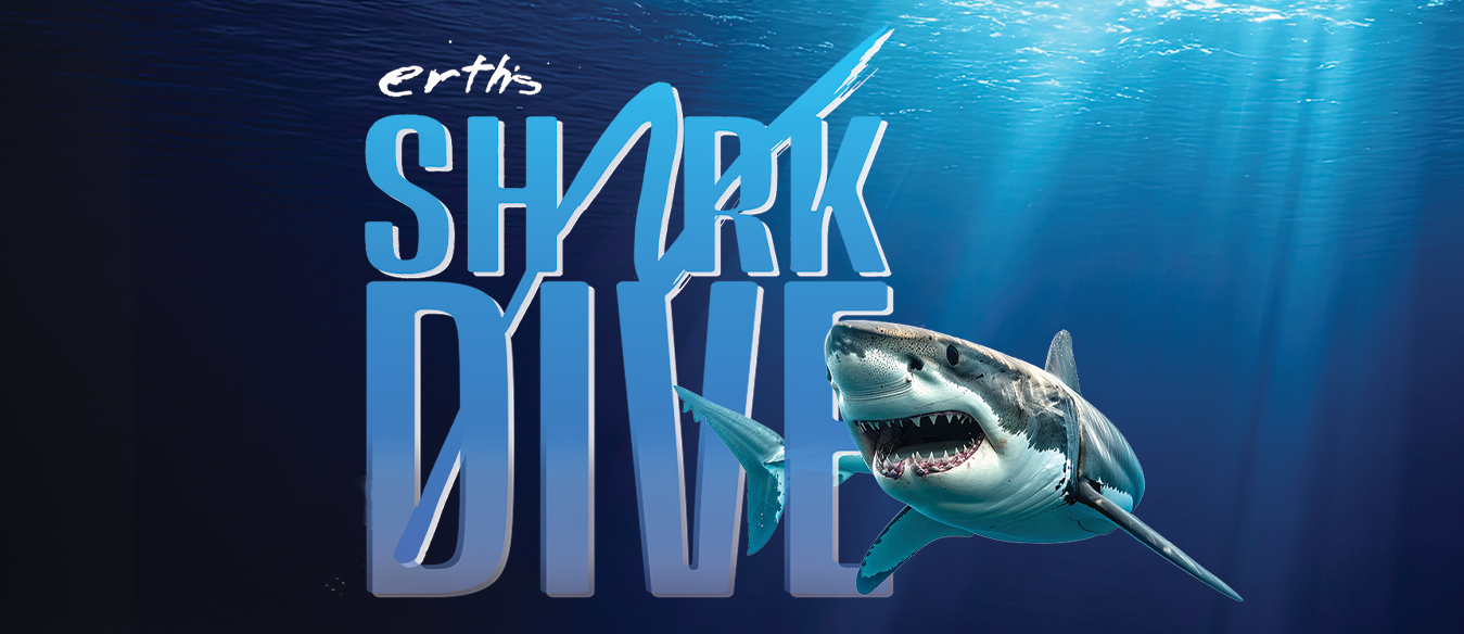 Erth's Shark Dive Header